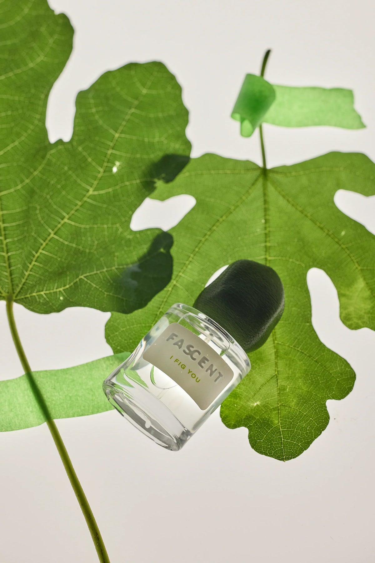 I FIG YOU par Fascent – composition artistique autour du flacon
