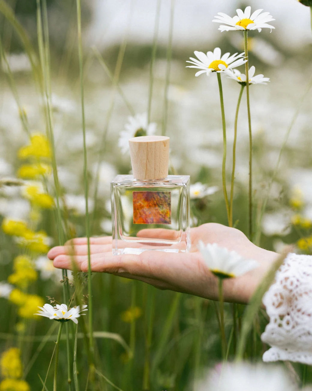 Arcadie Florale – Poecile