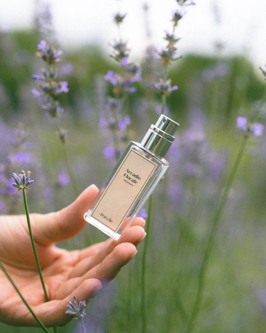 Arcadie Florale – Poecile