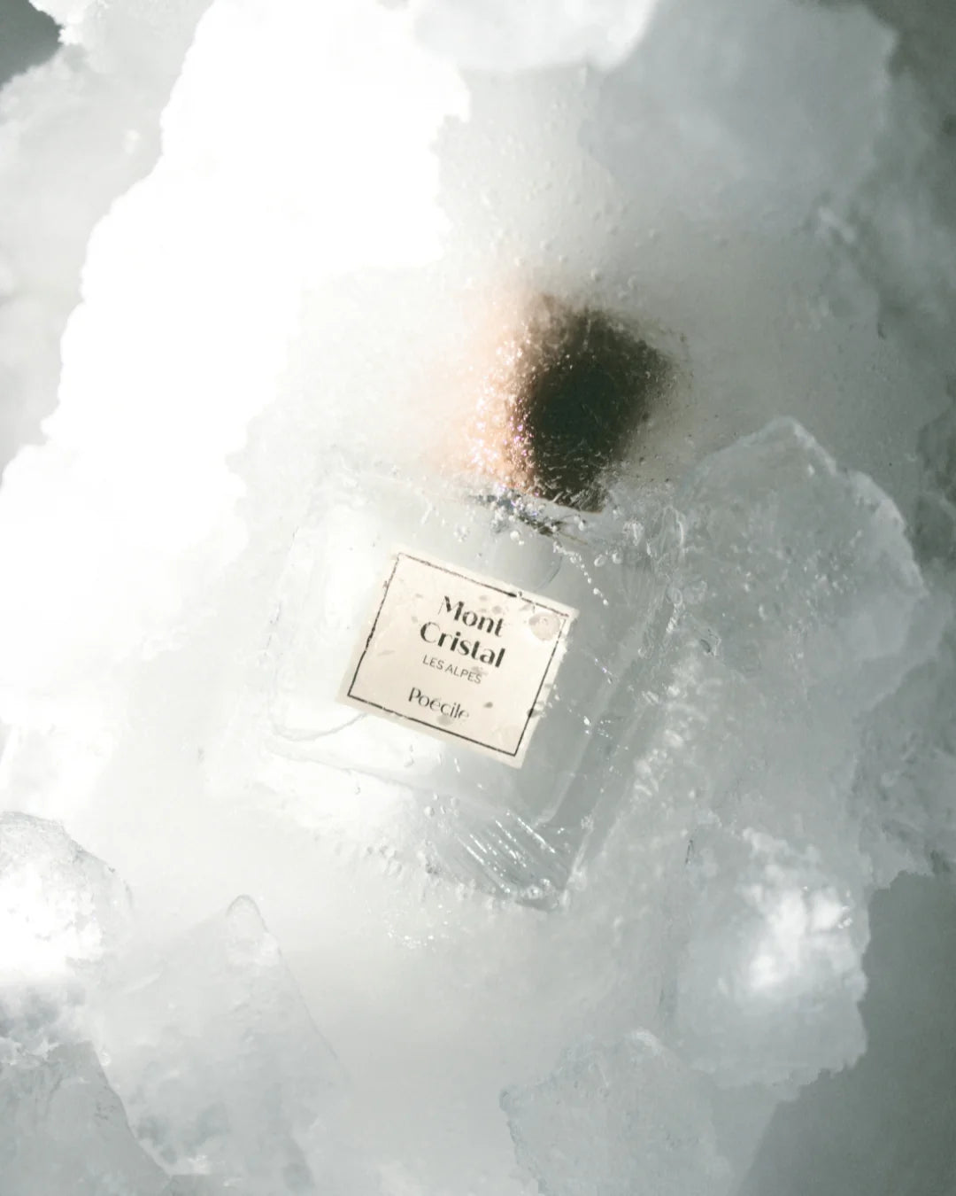 Mont Cristal – Poécile