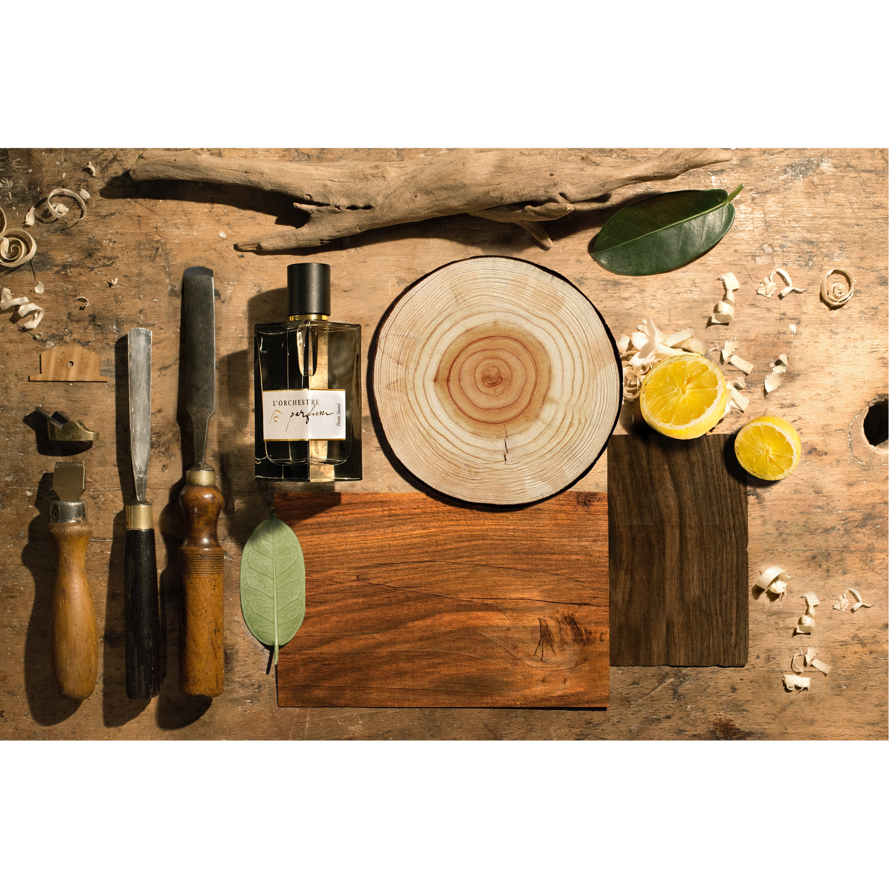 PIANO SANTAL – DAS ORCHESTER