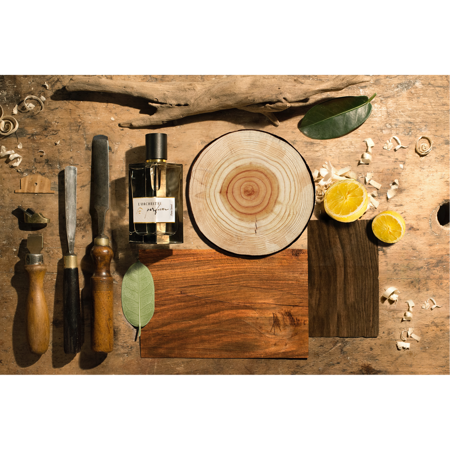 PIANO SANTAL – DAS ORCHESTER