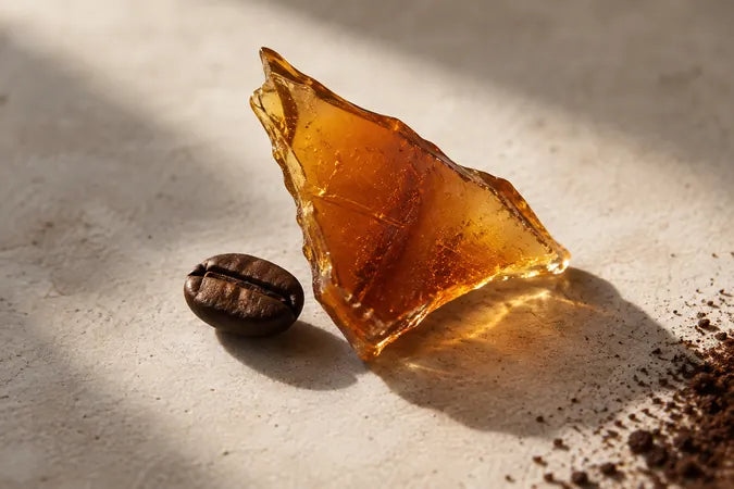 Illustration olfactive : éclat ambré de caramel et grain de café.