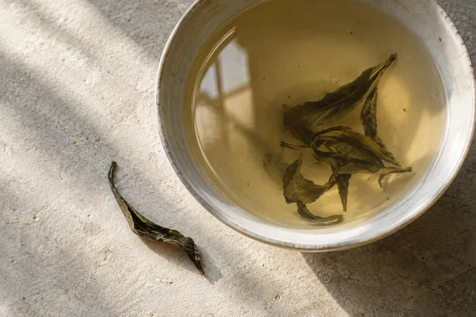 Illustration olfactive : feuilles de thé dans une tasse claire, lumière douce.